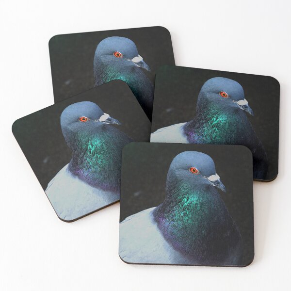 Item preview, Cool pigeon portrait designed and sold by chiaravisuals.