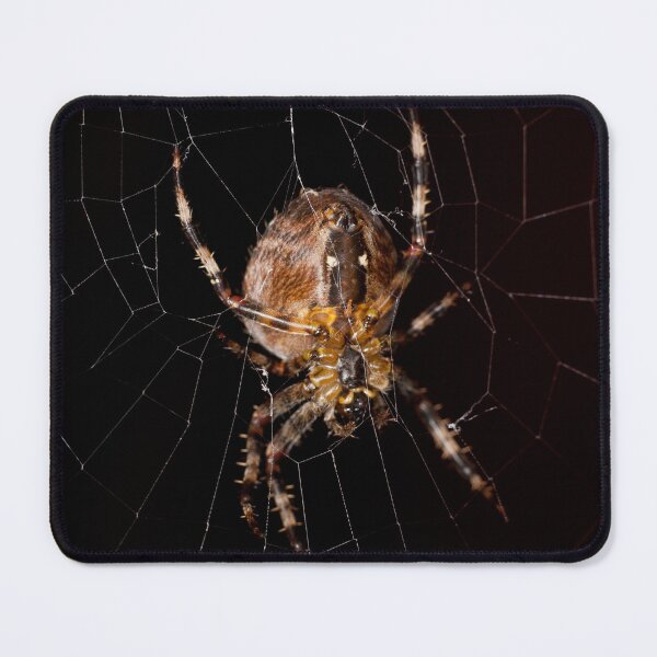 Item preview, Spider in his web designed and sold by RLWphoto.