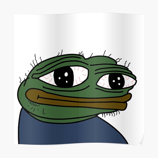 Homeless Pepe Poster By Thememeslord Redbubble