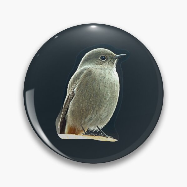 Item preview, The view of a songbird designed and sold by LittleCountess.