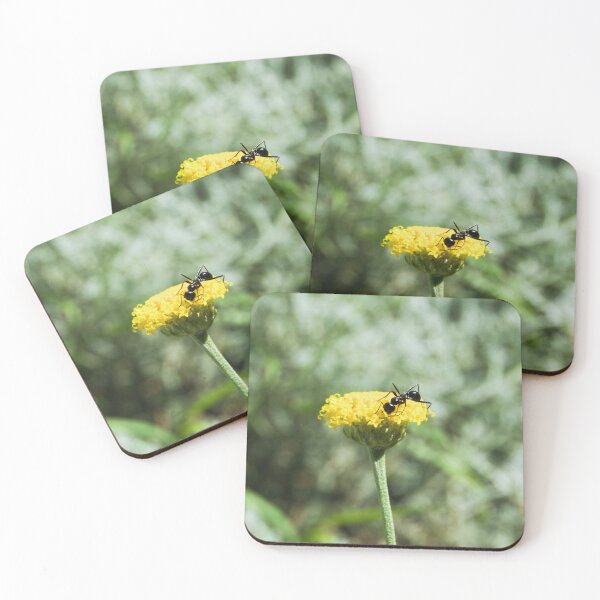Item preview, ant photo with high resolution quality designed and sold by Allyouneed-2.