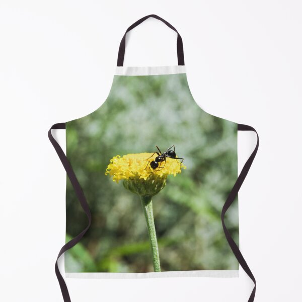Item preview, ant photo with high resolution quality designed and sold by Allyouneed-2.