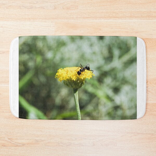 Item preview, ant photo with high resolution quality designed and sold by Allyouneed-2.