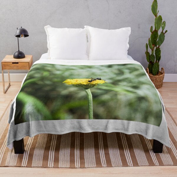 Item preview, ant photo with high resolution quality designed and sold by Allyouneed-2.