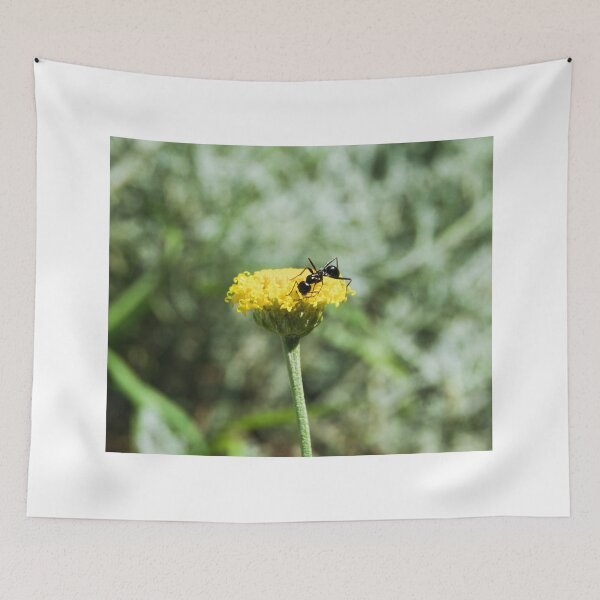 Item preview, ant photo with high resolution quality designed and sold by Allyouneed-2.