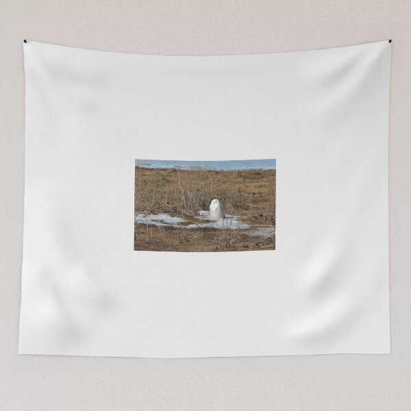 Item preview, snowyresting in the sun designed and sold by telley20.