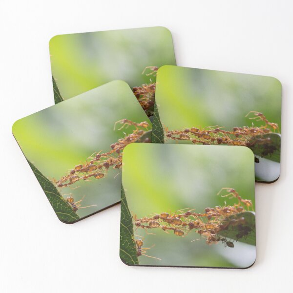 Item preview, ant photo with high resolution quality designed and sold by Allyouneed-2.