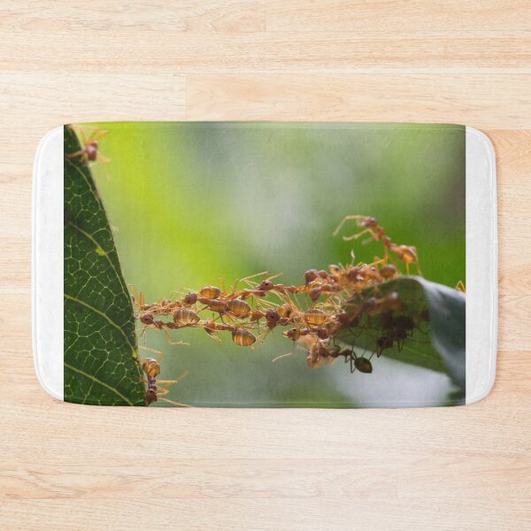 Item preview, ant photo with high resolution quality designed and sold by Allyouneed-2.