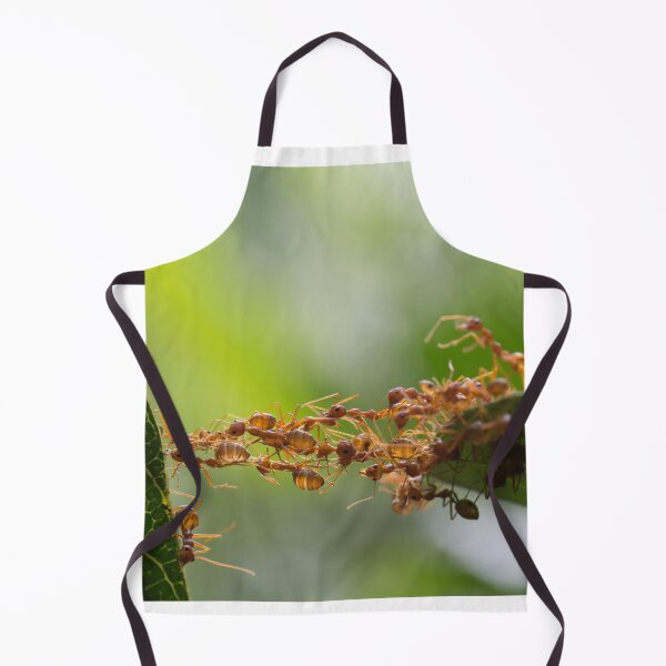 Item preview, ant photo with high resolution quality designed and sold by Allyouneed-2.