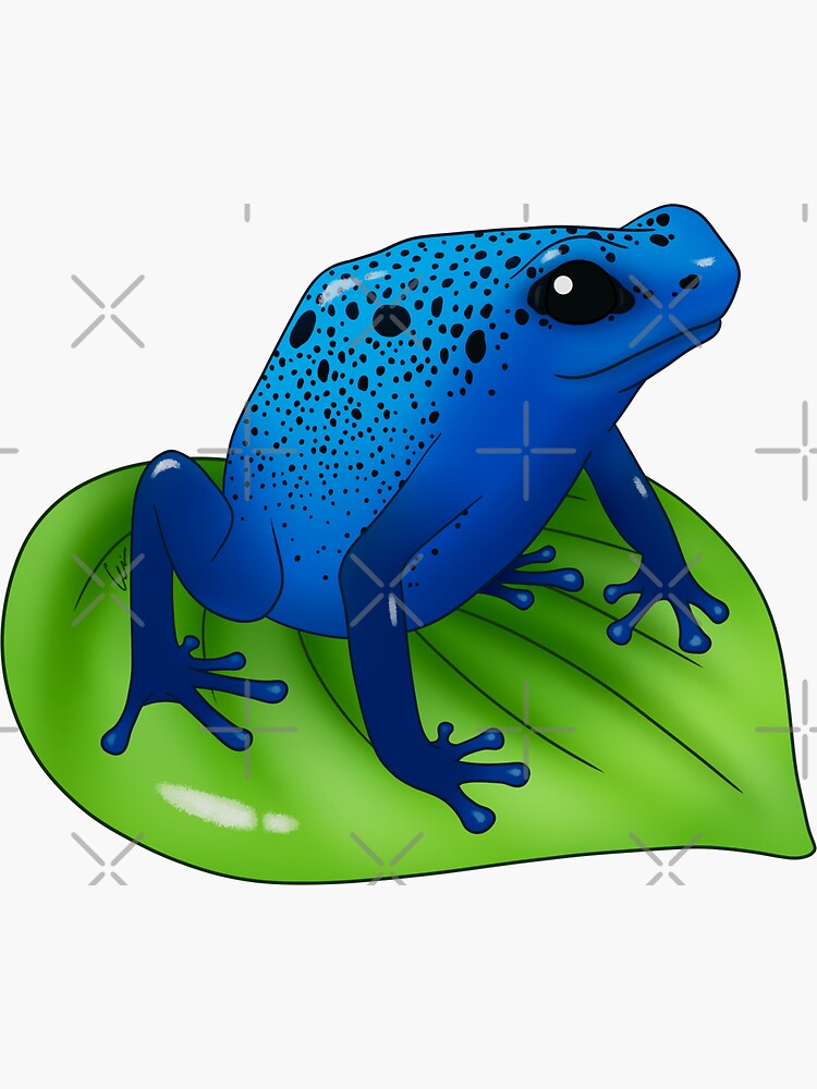 Blue Poison Dart Frog on a Leaf Sticker by anacecilia