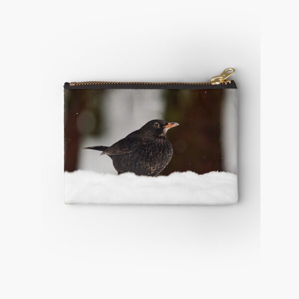 Item preview, Young so shy. Eurasian blackbird designed and sold by Jouko Lehto Photography.