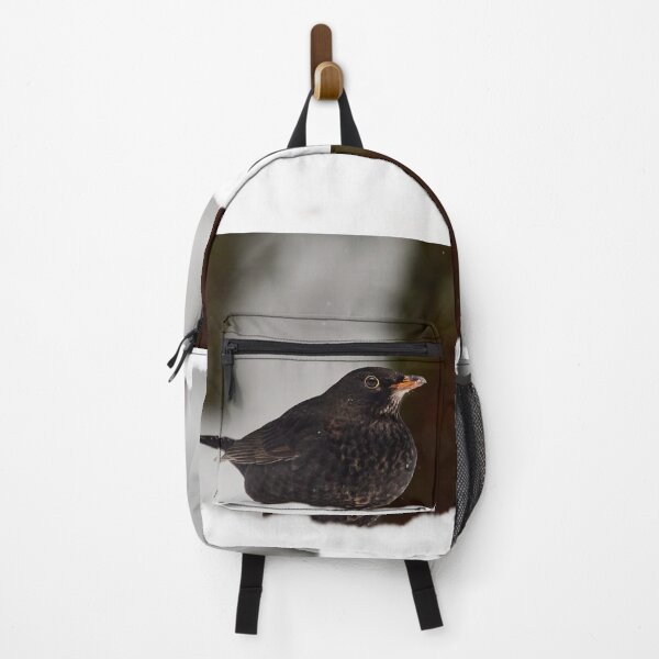 Item preview, Young so shy. Eurasian blackbird designed and sold by Jouko Lehto Photography.