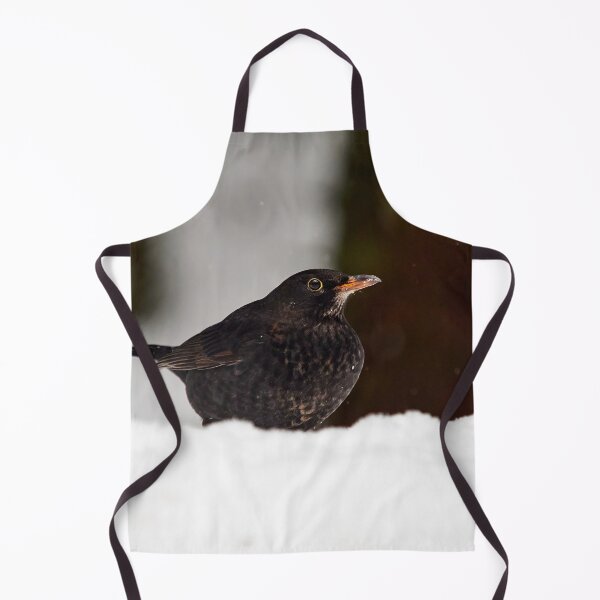Item preview, Young so shy. Eurasian blackbird designed and sold by Jouko Lehto Photography.