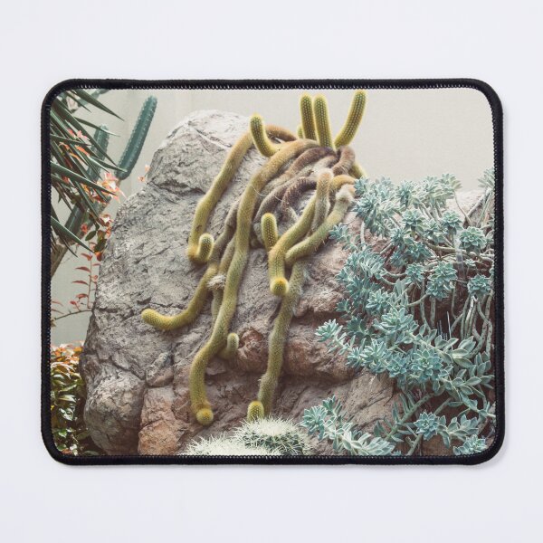 Item preview, Crawling Cacti designed and sold by Alex Tonetti Photography.