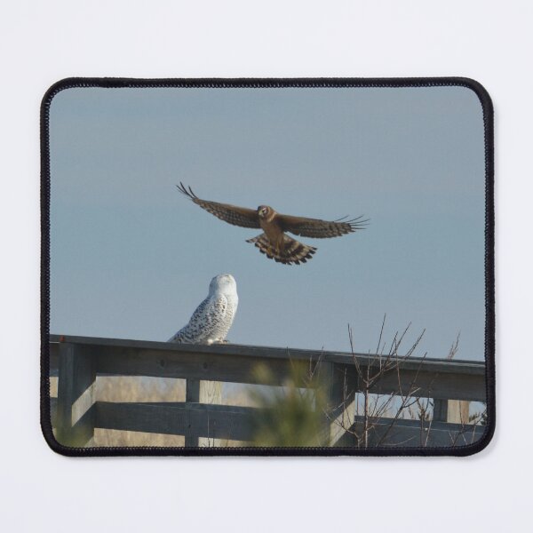 Item preview, harrier teasing snowy designed and sold by telley20.