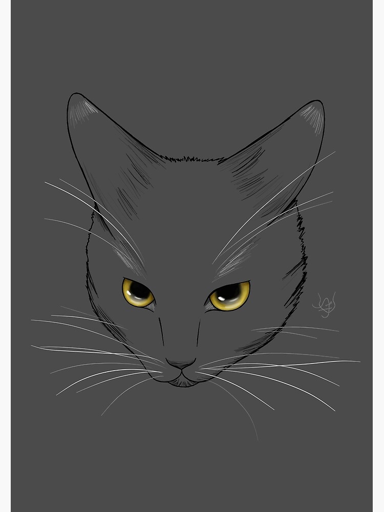 "Black Cat Line Art" Poster for Sale by anaflorapdc Redbubble