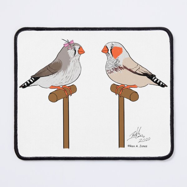 Item preview, Crazy Bird Person with Zebra Finches designed and sold by Laughing Parrot Studio.