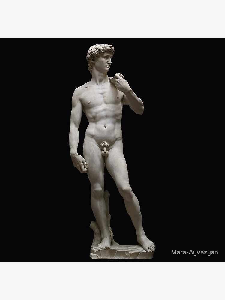Michelangelo David full height by Mara-Ayvazyan