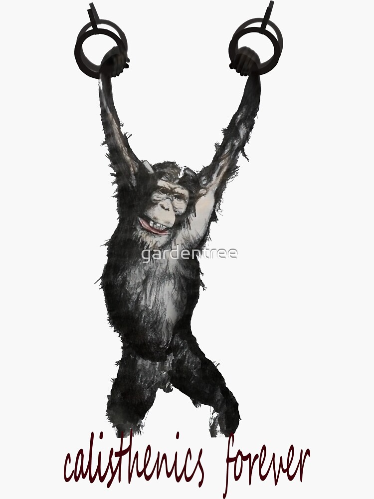 Monkey calisthenics discount