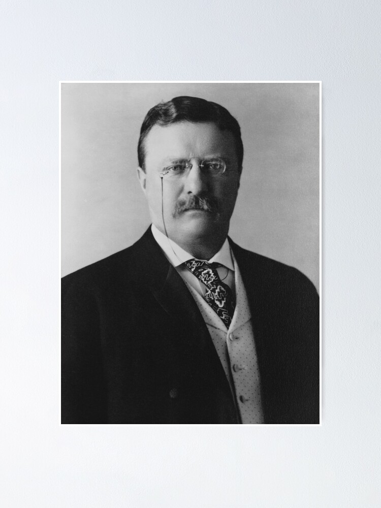 "Theodore Roosevelt As The 26th President Of The United States " Poster ...