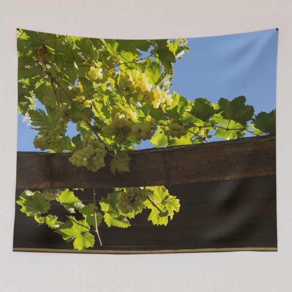 Item preview, Overhead Grape Harvest - Summertime Dreaming of Fine Wines designed and sold by Georgia Mizuleva.
