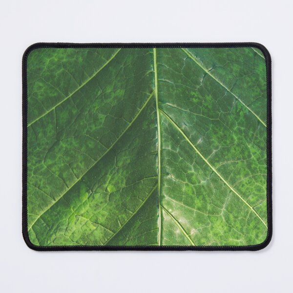 Item preview, Textured Tropics designed and sold by Alex Tonetti Photography.