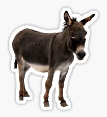 donkey Sticker