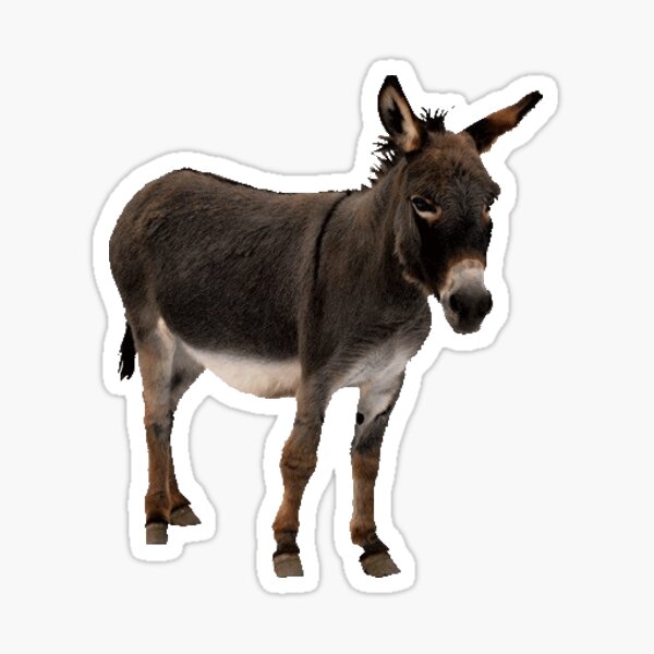 Já pode sair? Burro Shrek - Stickers for WhatsApp