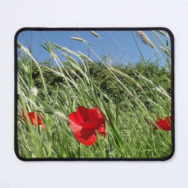Item preview, 11-11-11-11-00 designed and sold by Barrie Woodward.