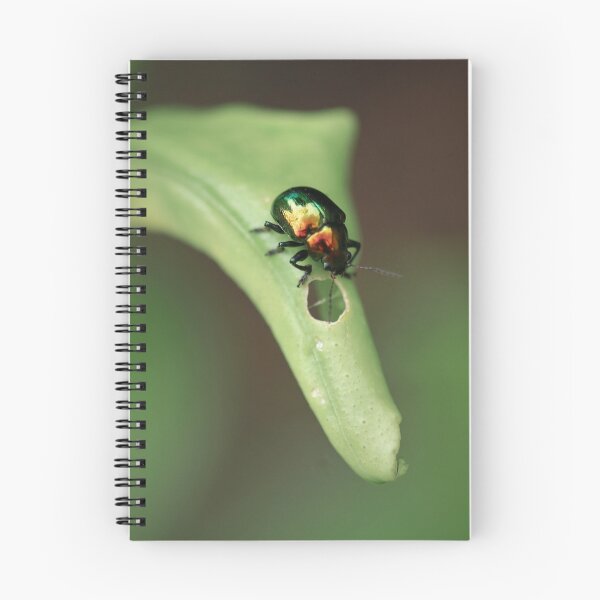 Item preview, Shiny beetle designed and sold by AnnaKT.
