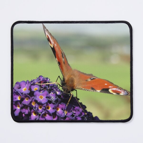 Item preview, Peacock Butterfly designed and sold by Barrie Woodward.
