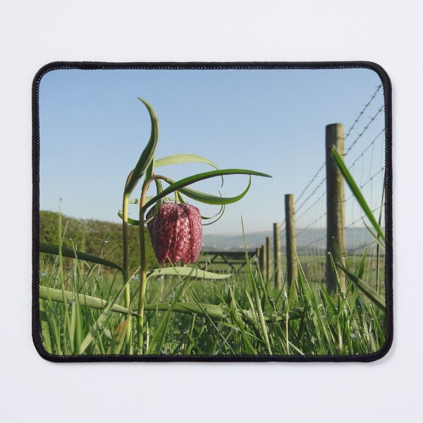 Item preview, Snake's head Fritillary designed and sold by Barrie Woodward.