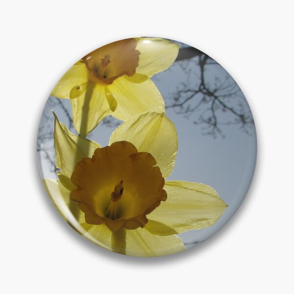 Item preview, Daffodils at Sunrise designed and sold by Barrie Woodward.