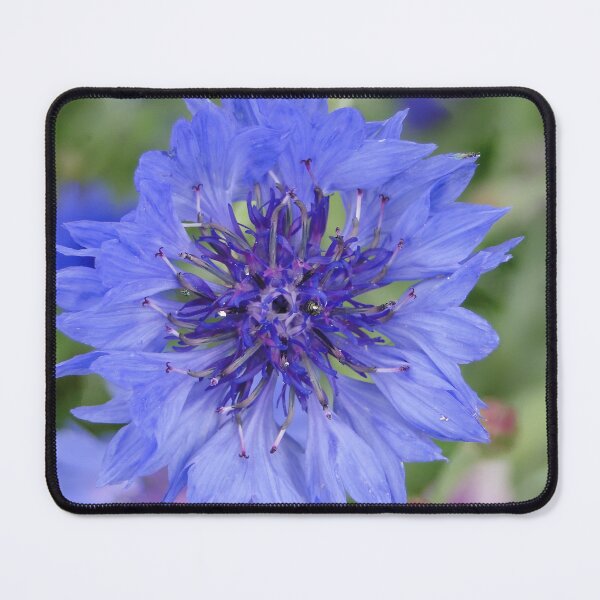 Item preview, Cornflower Blue designed and sold by Barrie Woodward.