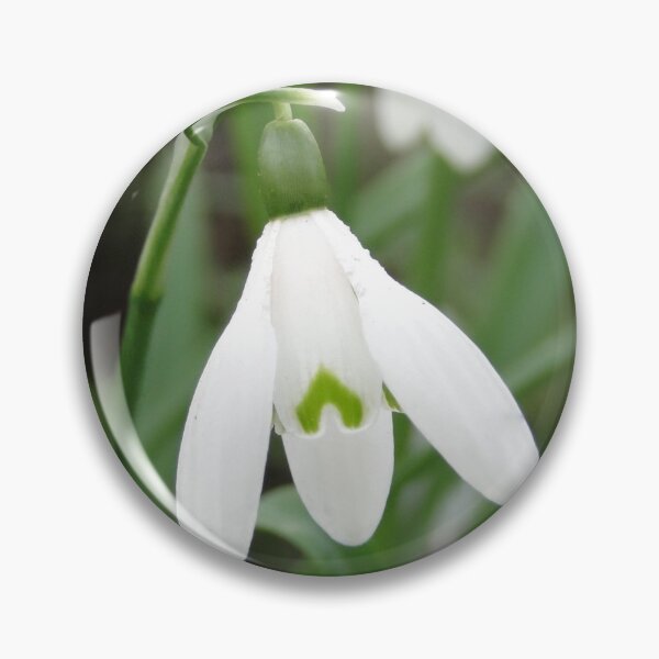 Item preview, The March Snowdrop designed and sold by Barrie Woodward.