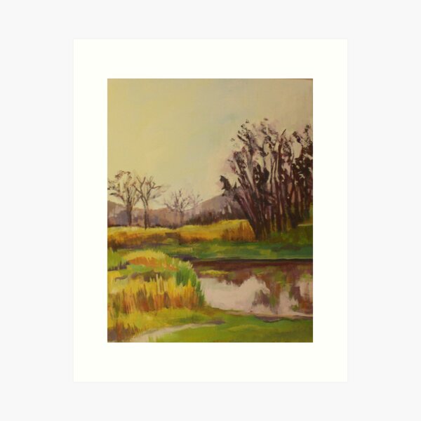 Arizona Riverscape Art Print