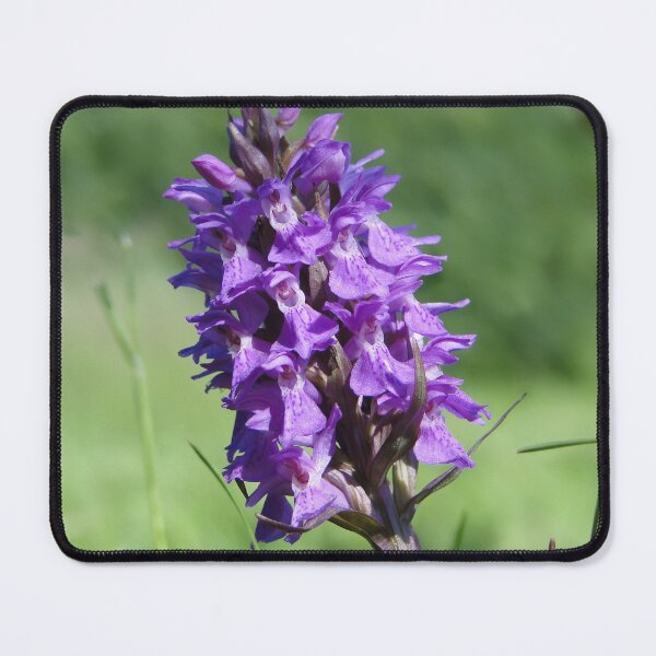 Item preview, The Marsh Orchid designed and sold by Barrie Woodward.