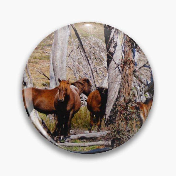 Item preview, Brumbies designed and sold by D-GaP.