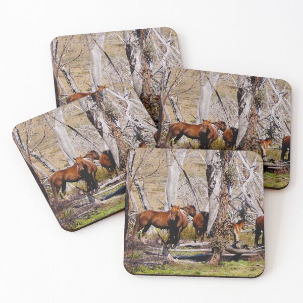 Item preview, Brumbies designed and sold by D-GaP.