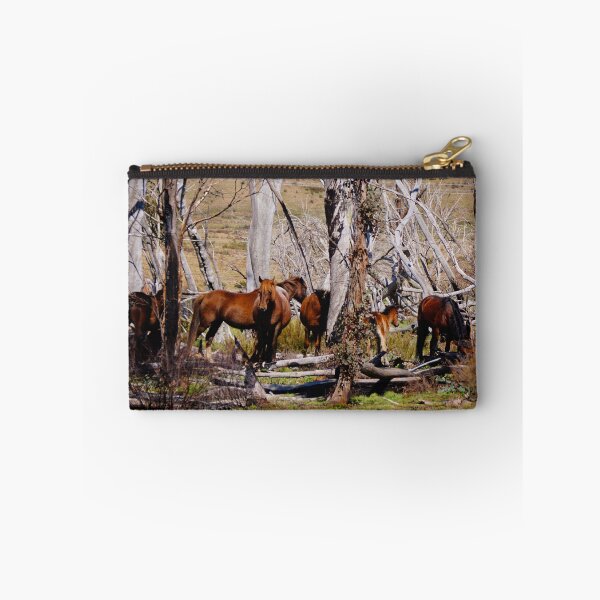 Item preview, Brumbies designed and sold by D-GaP.
