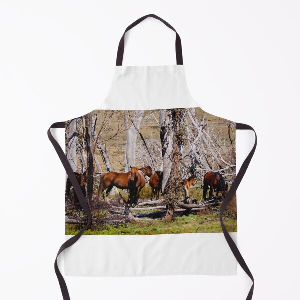 Item preview, Brumbies designed and sold by D-GaP.