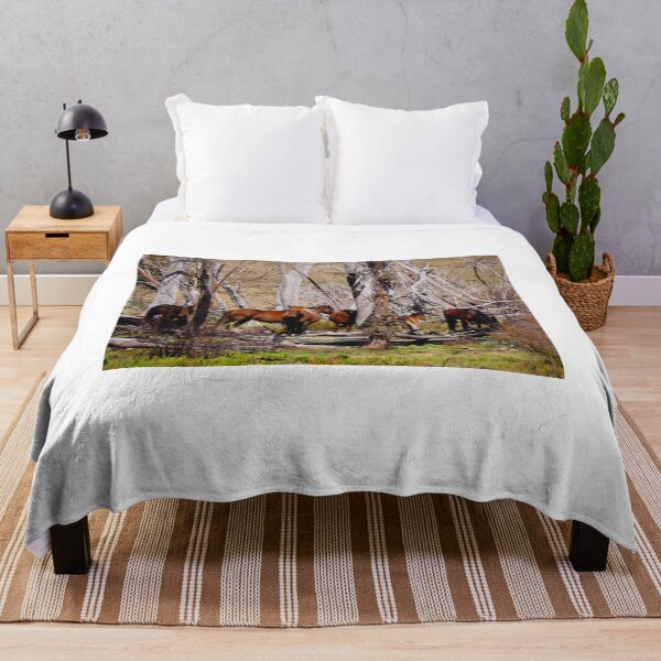Item preview, Brumbies designed and sold by D-GaP.