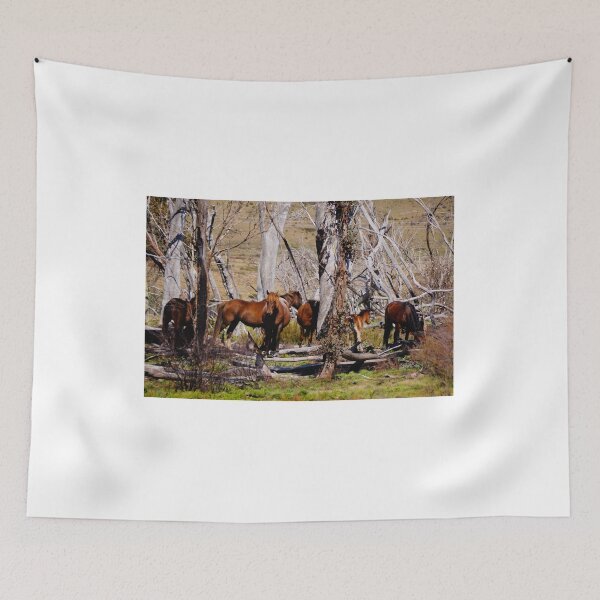 Item preview, Brumbies designed and sold by D-GaP.
