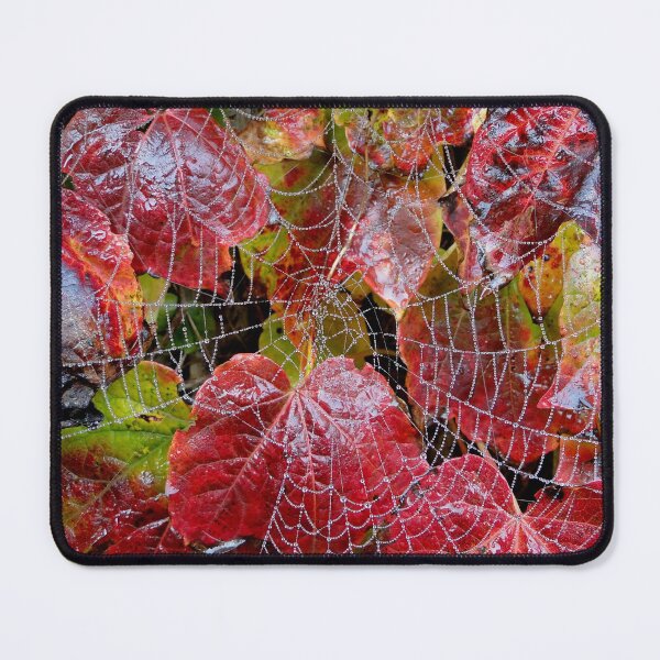 Item preview, Who Lives On A Web Like This? designed and sold by Barrie Woodward.