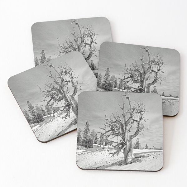 Item preview, Bristlecone pine in the Spring Mountains designed and sold by NewPrint.
