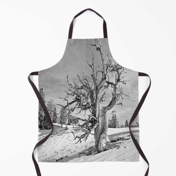 Item preview, Bristlecone pine in the Spring Mountains designed and sold by NewPrint.