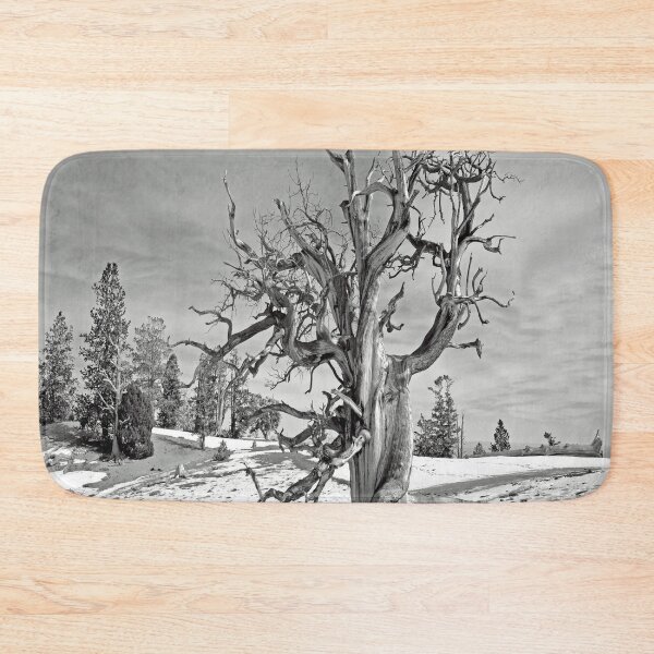 Item preview, Bristlecone pine in the Spring Mountains designed and sold by NewPrint.