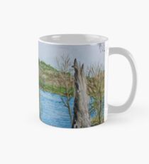 The view to Rivington Pike Mug