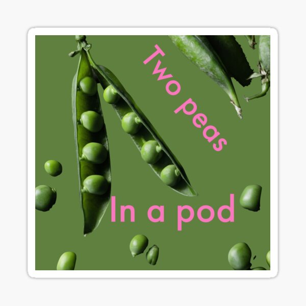 Holiday Gift Guide for Women - Two Peas & Their Pod