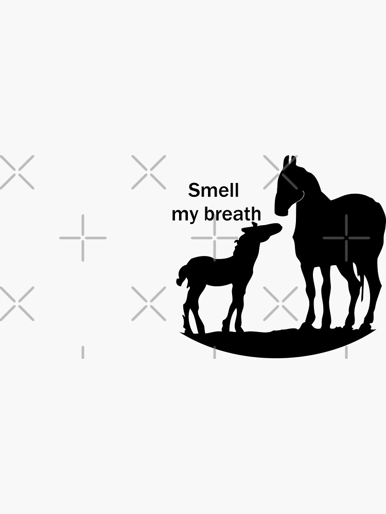 "Smell my breath Funny weird random meme with horse and foal" Sticker